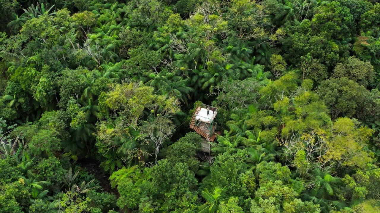 Pousada Salve Floresta Tapiraí Extérieur photo